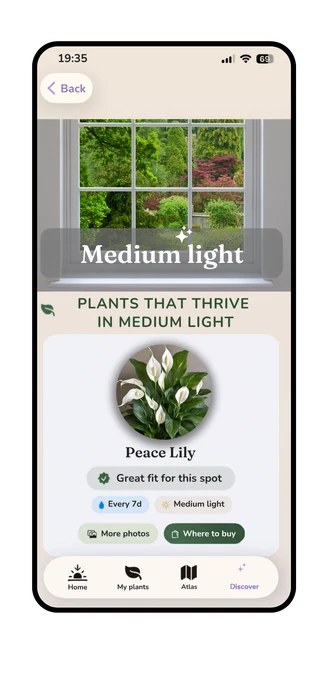 Planterra Discover
