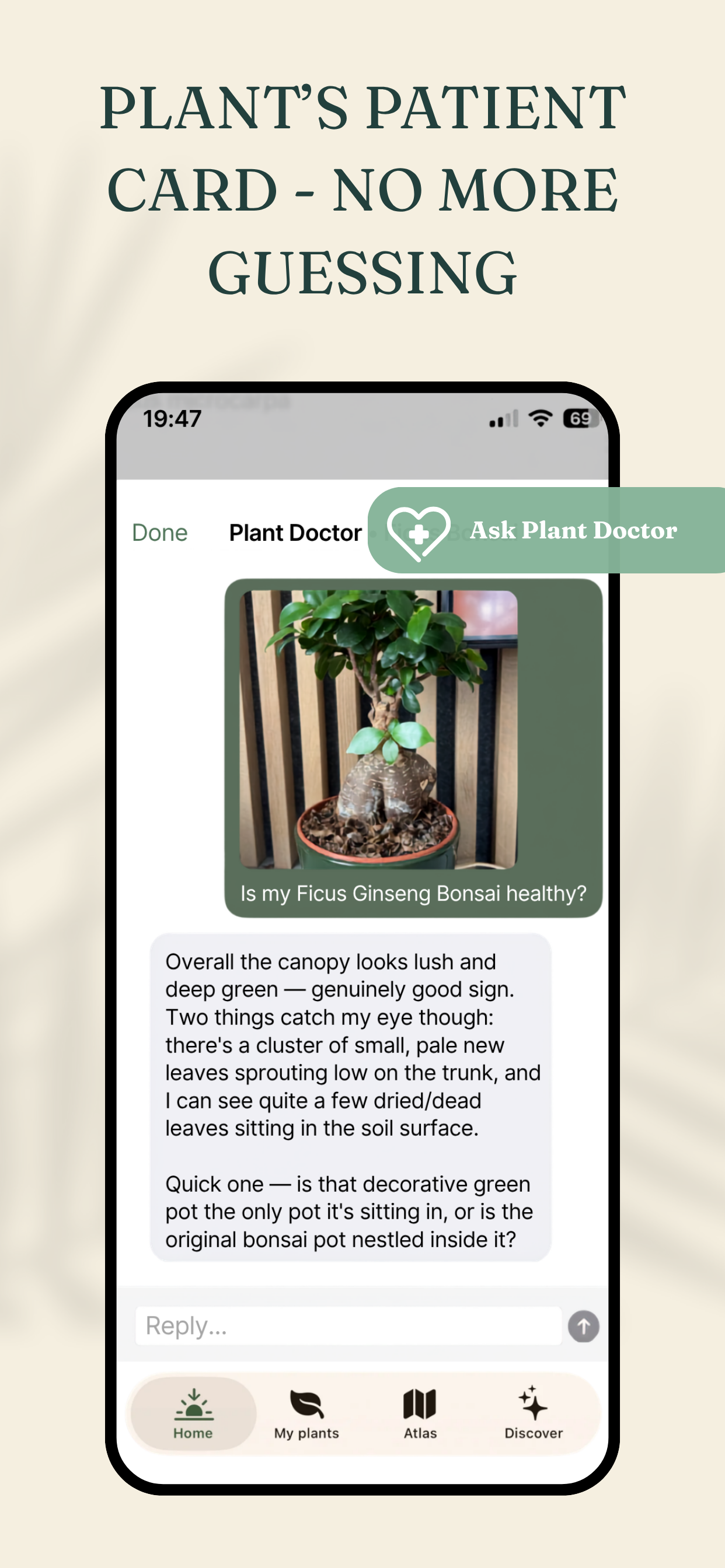Plant Doctor chat showing a real diagnosis