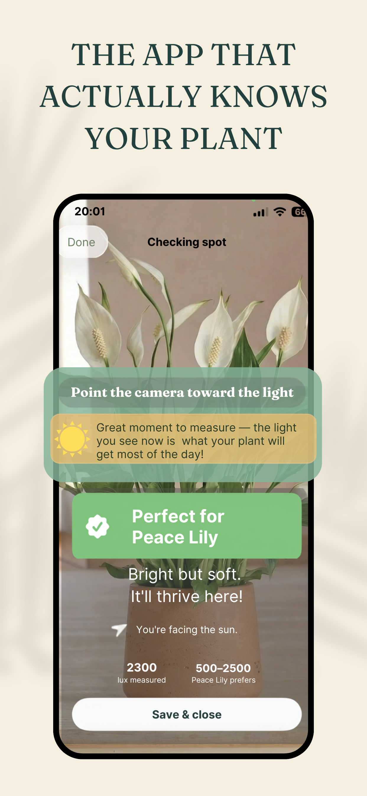 Planterra Home screen showing real-time light conditions for each window